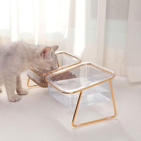 Gamelle chat transparente surélevée