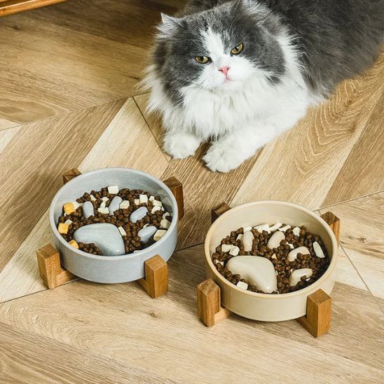 gamelle pour chat anti glouton surélevée patte céramique