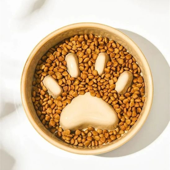 gamelle pour chat anti glouton patte chat céramique beige