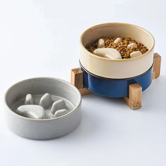 gamelle pour chat anti glouton ergonomique design patte chat céramique