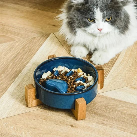 gamelle pour chat anti glouton surélevée céramique bleu base bois