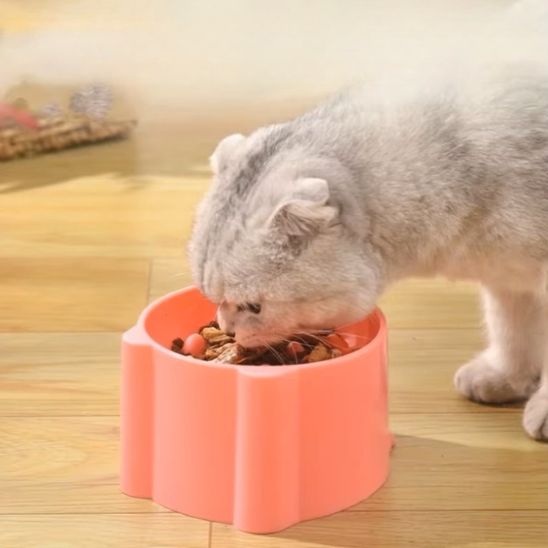 gamelle pour chat anti glouton surélevée ergonomique