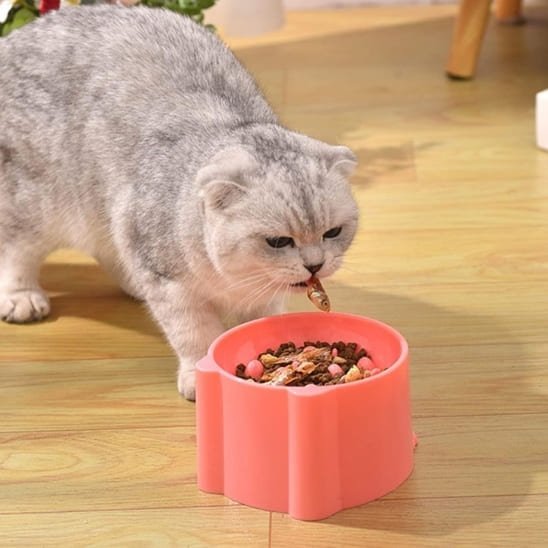 gamelle anti-glouton surélevée chat plastique rose