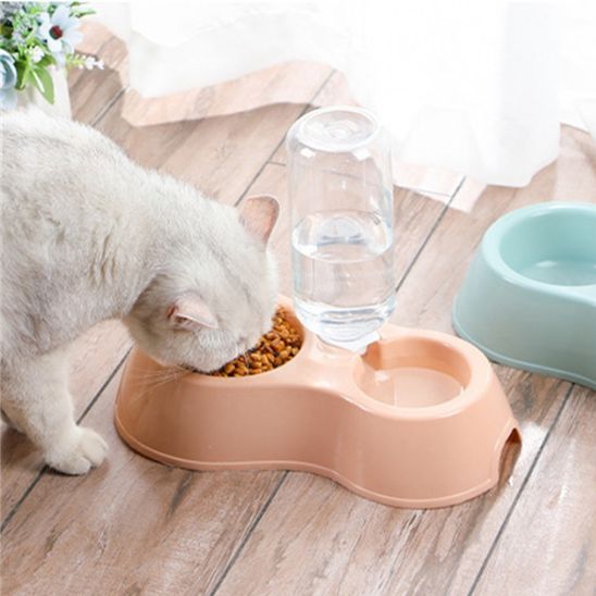 chat gamelle double bol et bouteille eau plastique