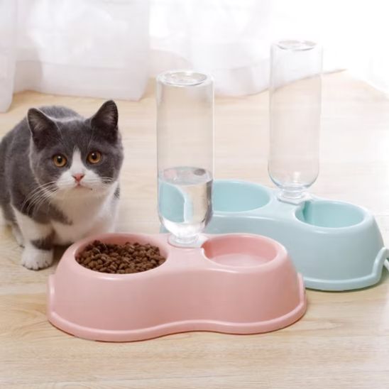 chat gamelle double bol plastique bouteille eau intégrée