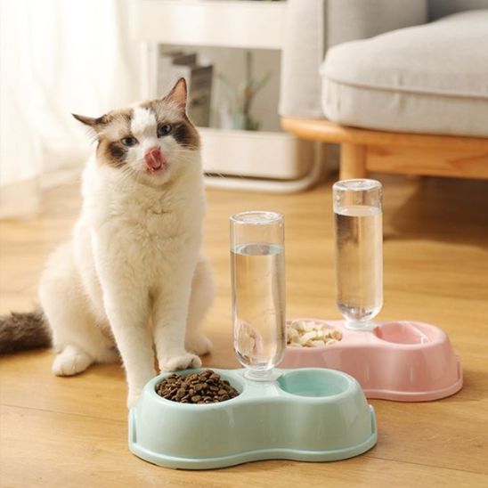 gamelle pour chat double bol avec bouteille intégrée