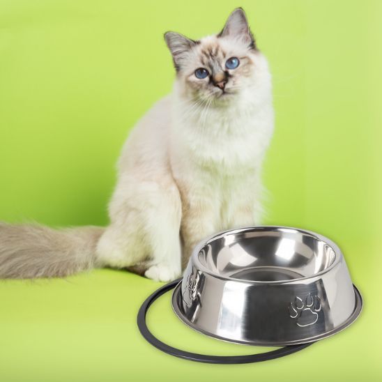 gamelle pour chat acier inoxydable antidérapant