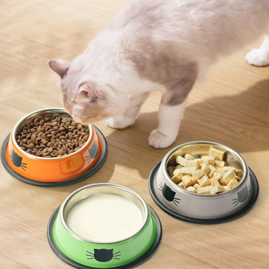gamelle pour chat inox couleur antidérapante eau croquette