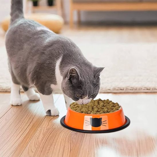 gamelle pour chat acier inoxydable orange antidérapante motif chat