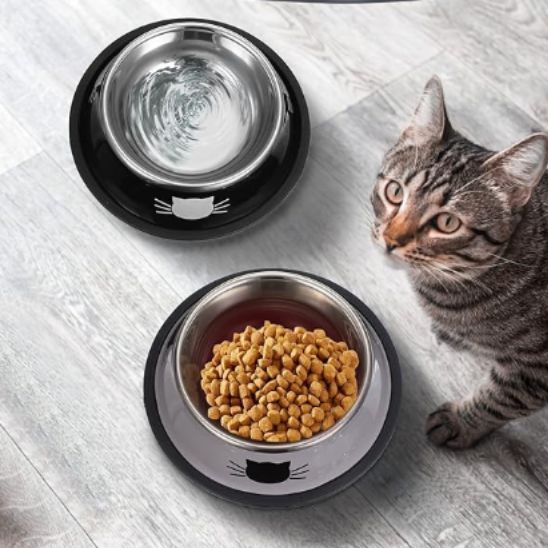 gamelle pour chat inox antidérapante noir grise motif chat