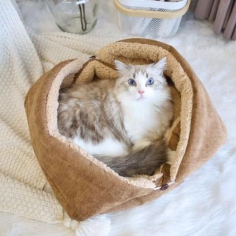 panier pour chat cocon multifonction pliable lit doux peluche