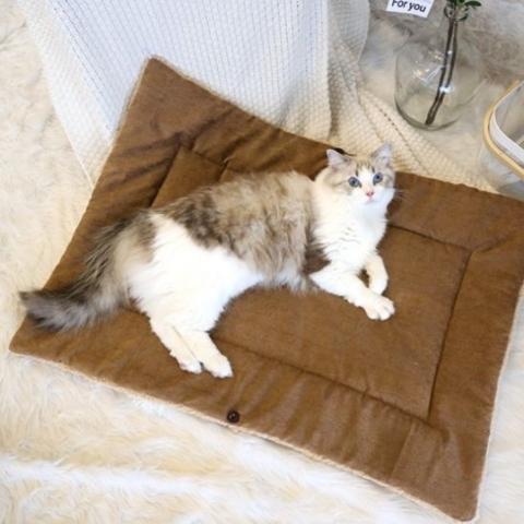 panier pour chat cocon multifonction pliable lit doux peluche