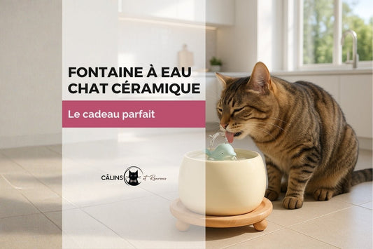 Chat tigré buvant à une fontaine à eau en céramique beige
