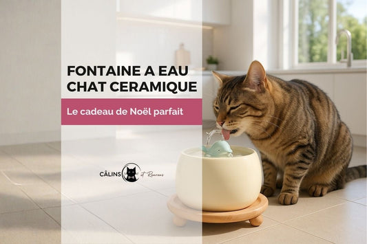 Chat tigré buvant dans une fontaine à eau chat céramique posée sur un support en bois, dans une cuisine lumineuse.