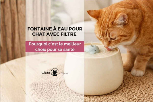 fontaine à eau pour chat avec filtre utilisée par un chat