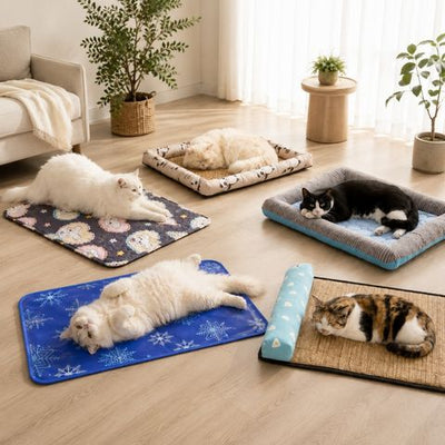Collection de tapis rafraîchissants pour chats avec différents modèles pour l’été