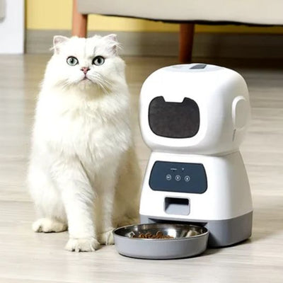 distributeur de croquettes pour chat