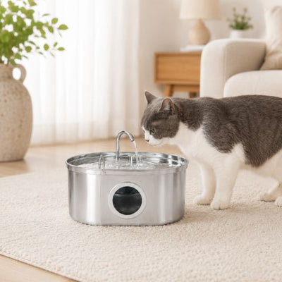 Fontaine à eau chat inox avec chat gris
