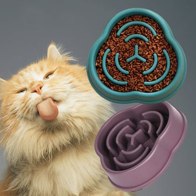 gamelle anti glouton chat forme labyrinthe