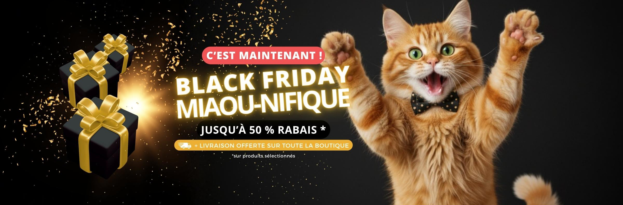 accessoires bien-être chat - Câlins et ronrons - Promotions Black Friday