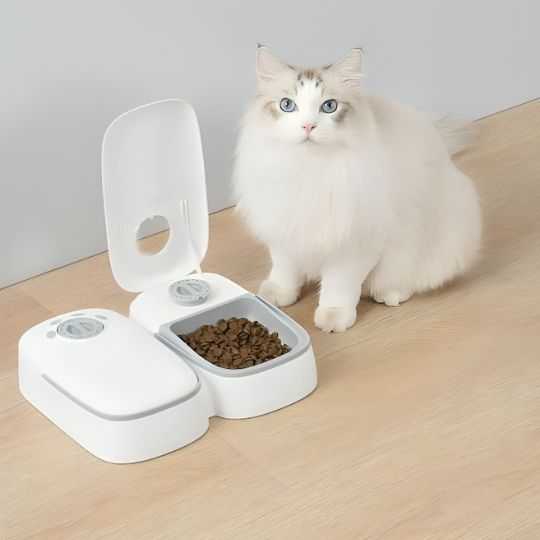 distributeur automatique croquettes chat double bol programmable minuterie