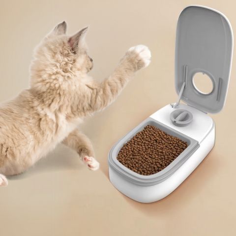 distributeur automatique croquettes chat bol simple