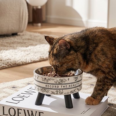 Gamelle surélevée chat élégante avec bol amovible