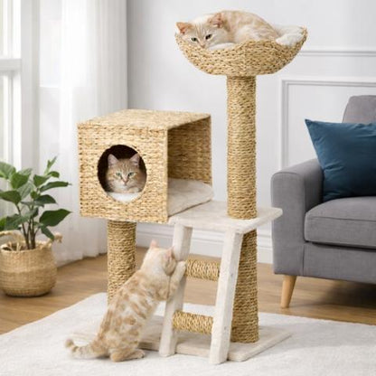 Arbre à chat compact naturel avec panier, niche et échelle dans un salon lumineux avec plusieurs chats
