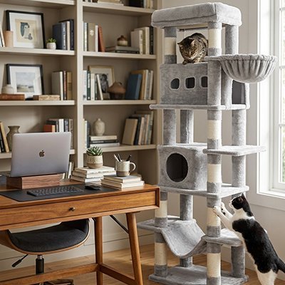 Arbre à chat gris avec niche, hamac et plateformes de repos