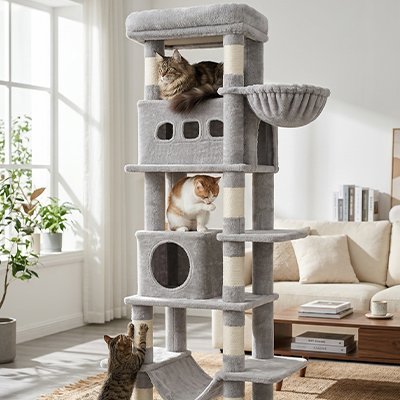Arbre à chat gris stable avec griffoirs en sisal et structure renforcée