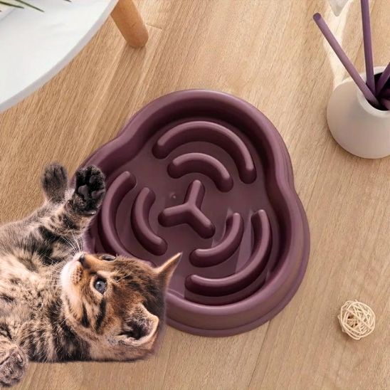 Gamelle anti glouton chat labyrinthe