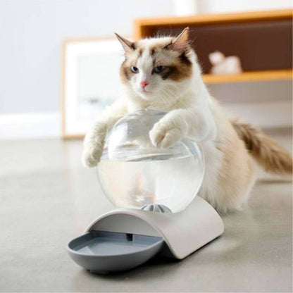 Fontaine à eau chat sans électricité | Design sans filtre