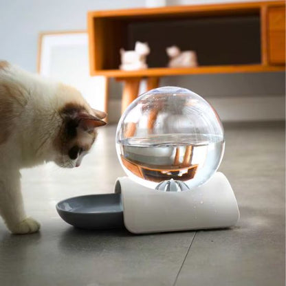 Fontaine à eau chat sans électricité | Design sans filtre
