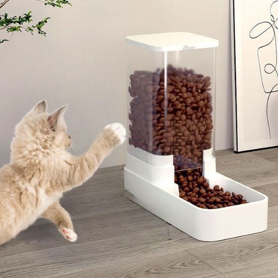 Distributeur croquette chat | Simple