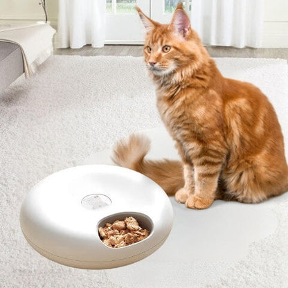 Distributeur nourriture chat | Sec & humide