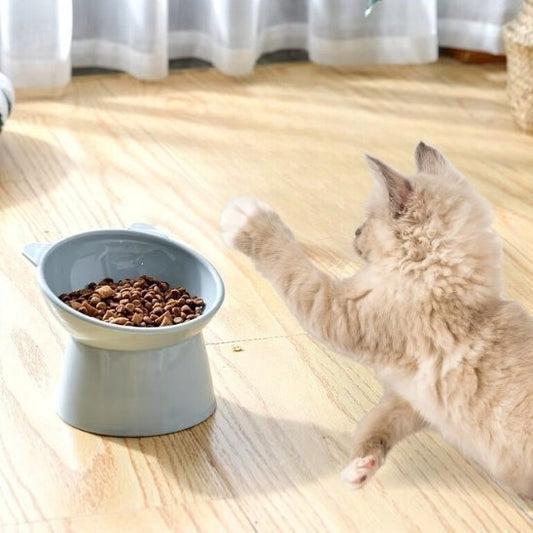 Gamelle chat surélevée | Anti-étouffement