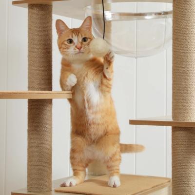 Arbre à chat en bois naturel avec niche, hamac et plateformes