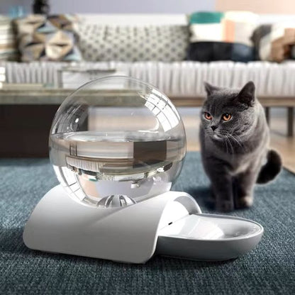 Fontaine à eau chat sans électricité | Design sans filtre