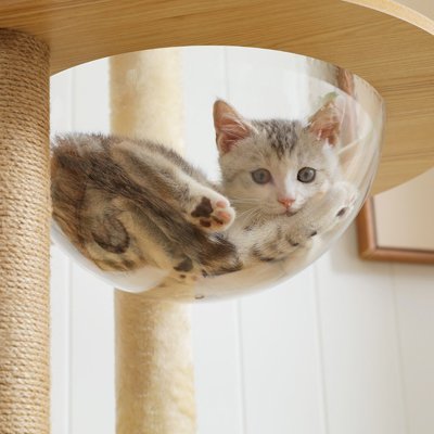 Arbre à chat en bois naturel avec niche, hamac et plateformes