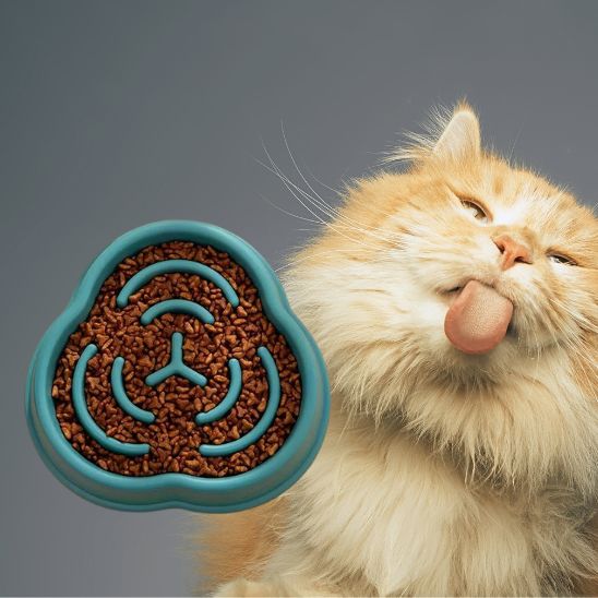 Gamelle anti glouton chat labyrinthe