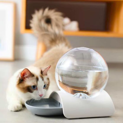 Fontaine à eau chat sans électricité | Design sans filtre