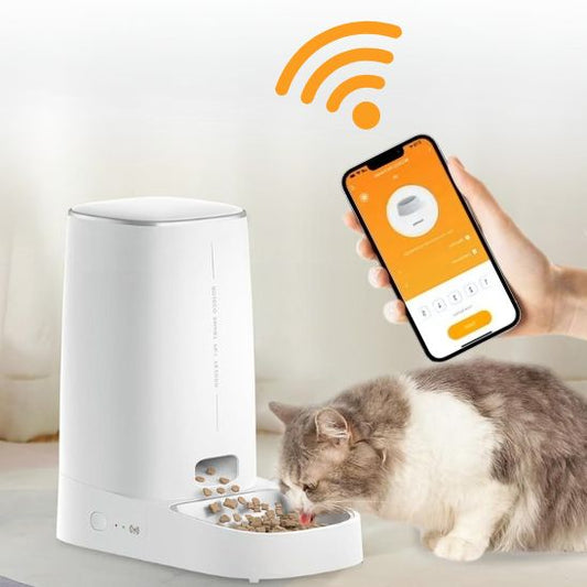 Distributeur de croquettes pour chat | Programmable