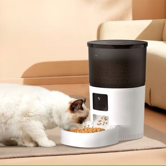 Distributeur de croquettes pour chat | Caméra