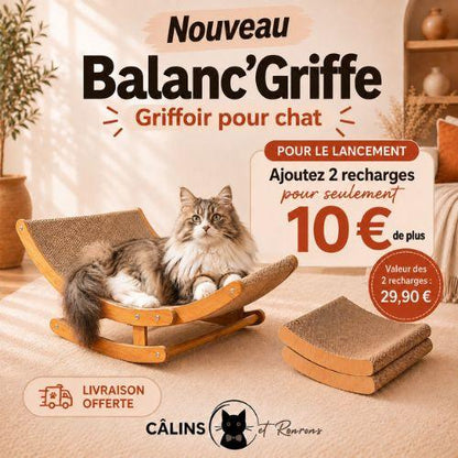 Lancement du griffoir pour chat Balanc’Griffe avec 2 recharges