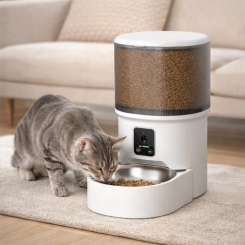 Chat mangeant dans un distributeur de croquettes connecté avec bol inox visible