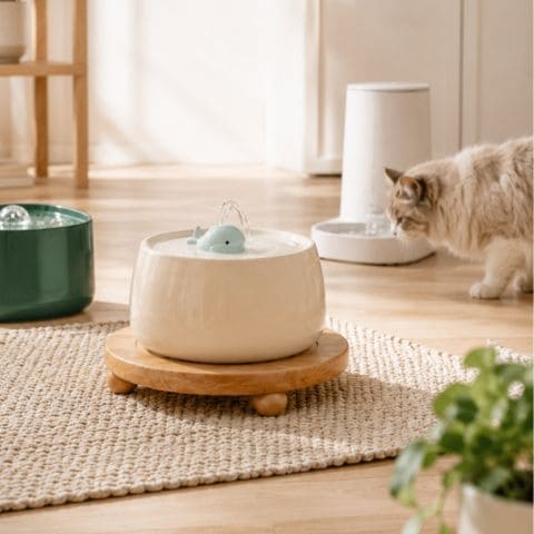 Collection de fontaines à eau pour chat en céramique dans un intérieur lumineux