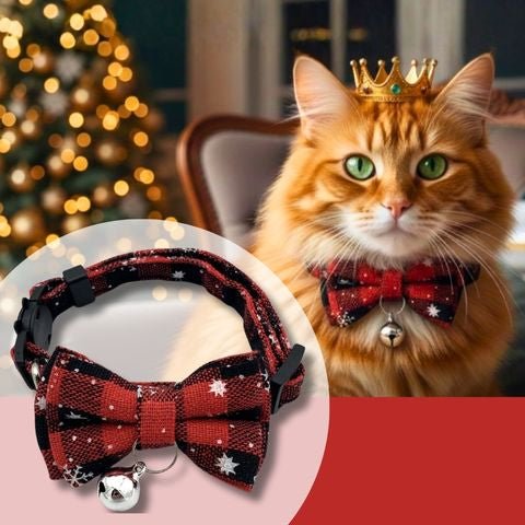 collier-chat-boucle-festive-noel-rouge