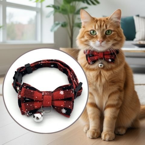 collier-chat-boucle-festive