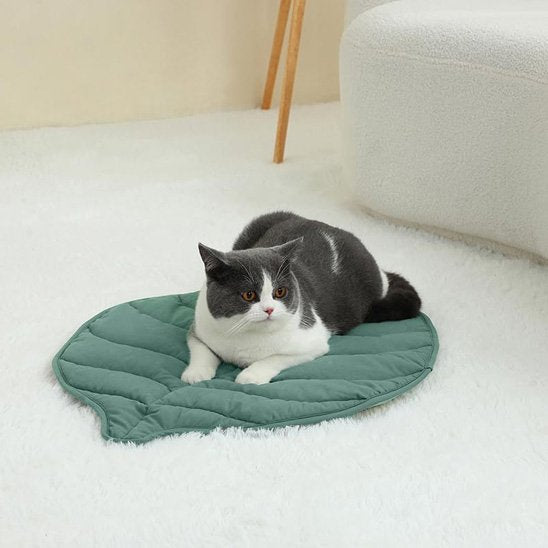 Coussin chat coton matelassé tissu ultra-doux avec chat détendu