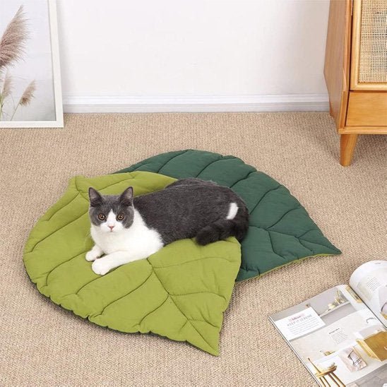 Coussin chat réversible vert foncé vert lime avec chat détendu